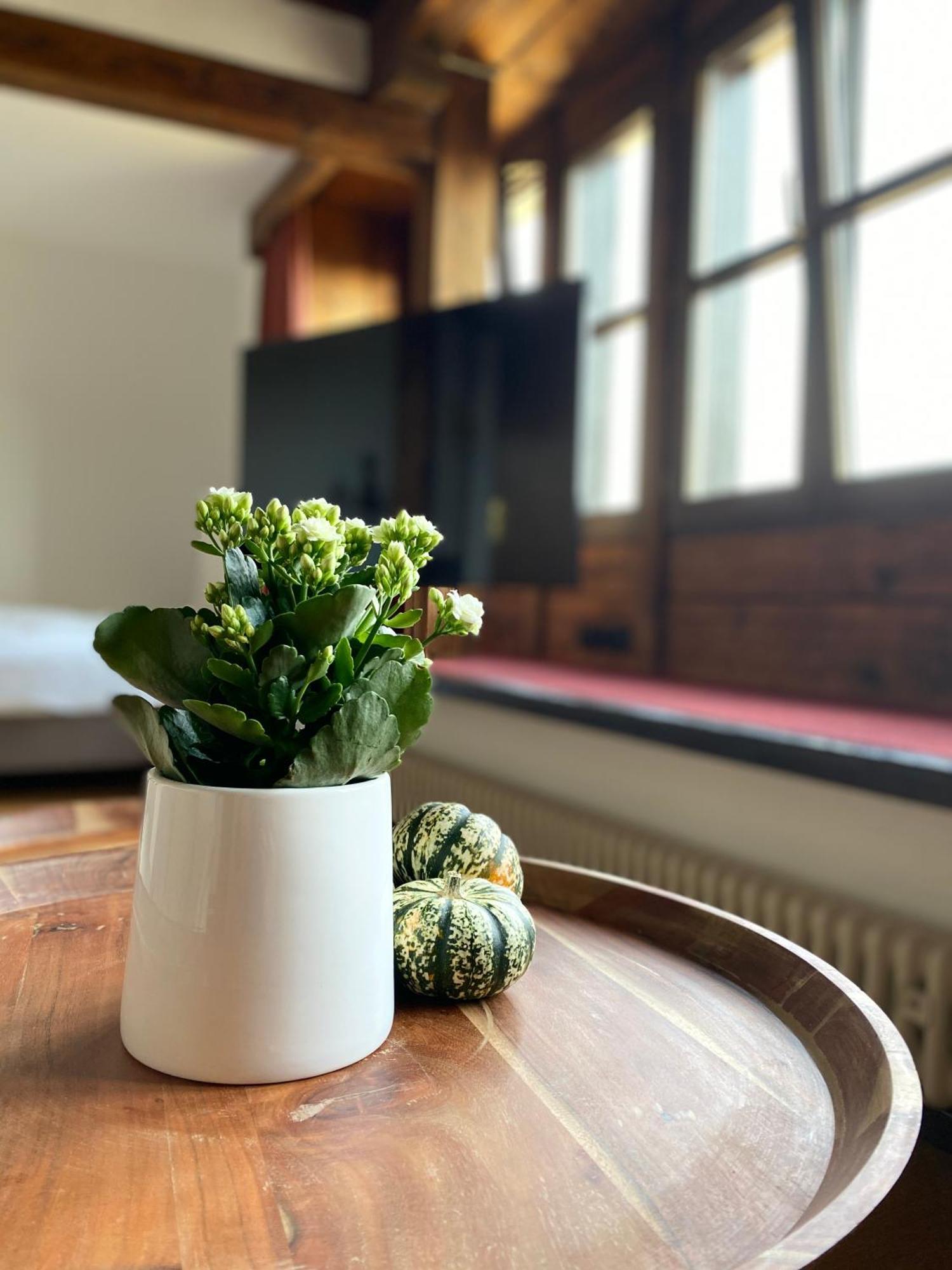 Apartmenthaus Eurenerstrasse 179 Treviri Esterno foto