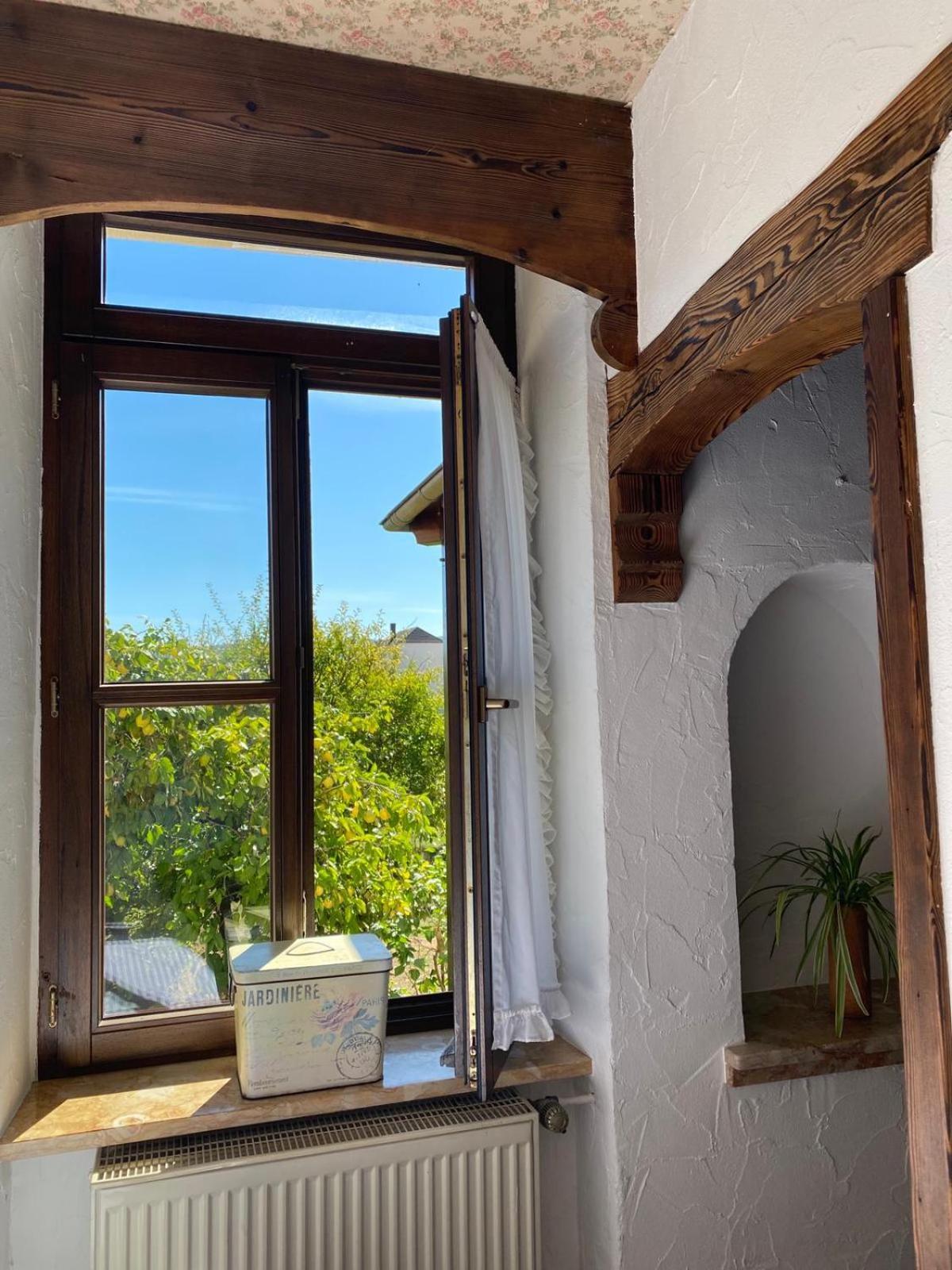 Apartmenthaus Eurenerstrasse 179 Treviri Esterno foto